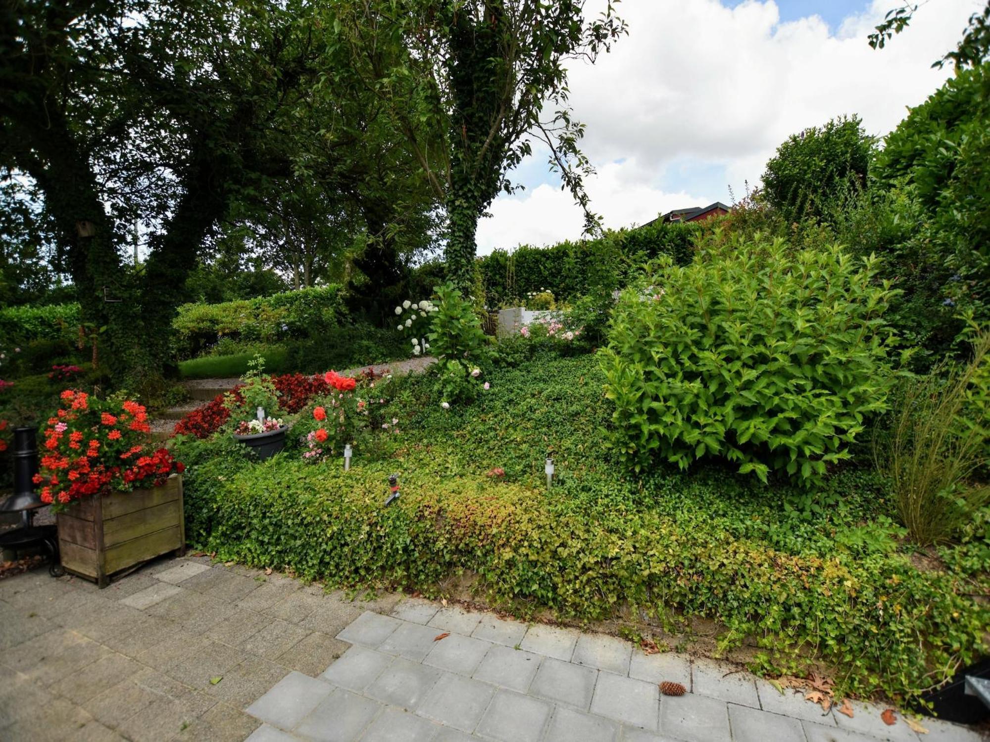 Luxury House In South Limburg Near Forest Walem Ngoại thất bức ảnh
